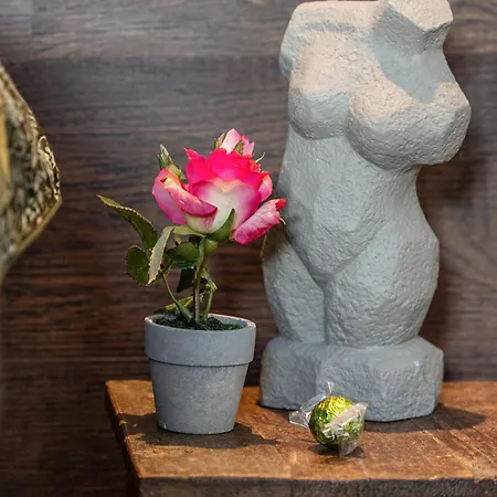 Erz-apartment Apartment Jahnsdorf (Erzgebirgskreis)